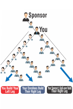 Binary Plan MLM software diagram