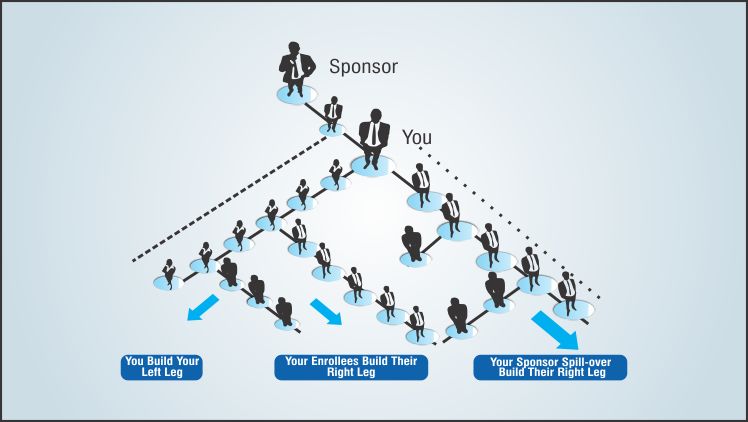 Hybrid Plan MLM software diagram